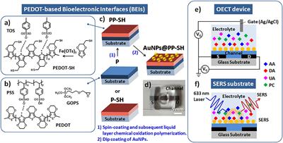 Frontiers | Organic Electrochemical Transistors/SERS-Active Hybrid ...